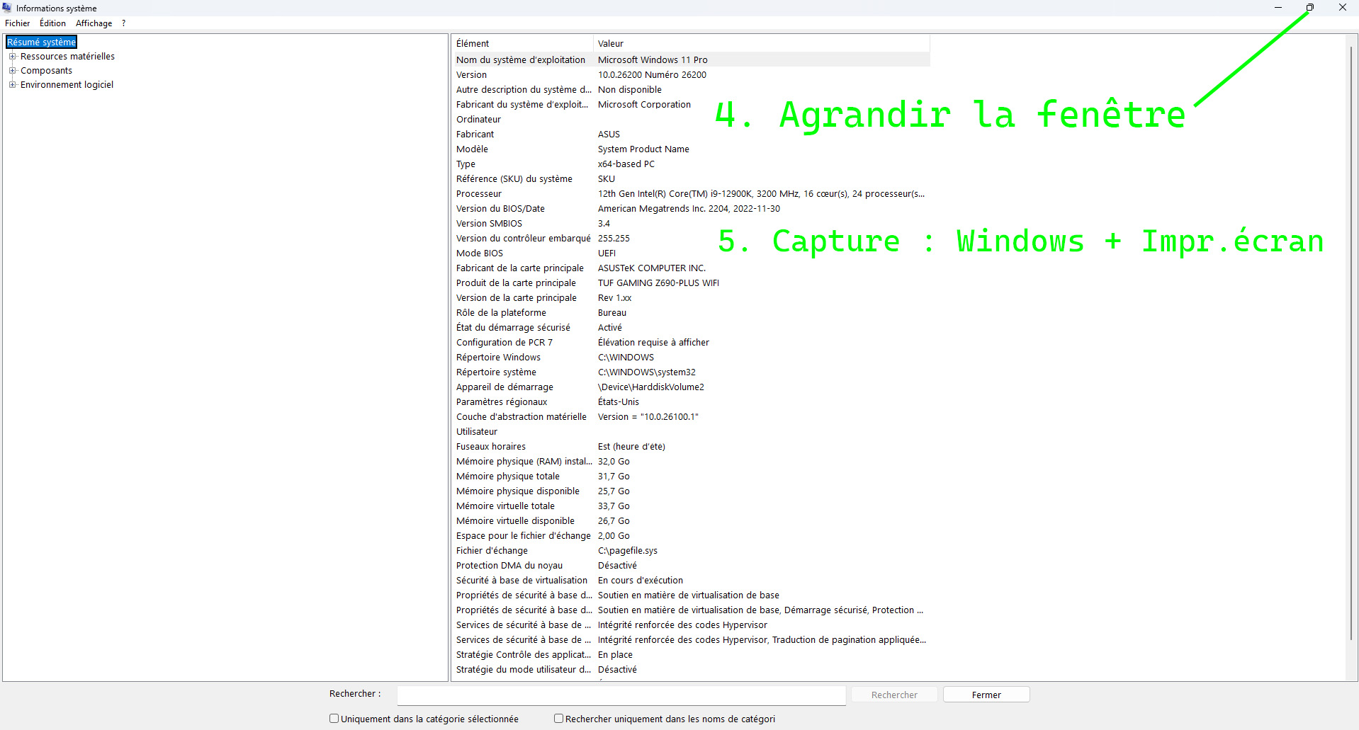 Étapes 4 et 5 : agrandir la fenêtre Informations système et capturer le Résumé système
